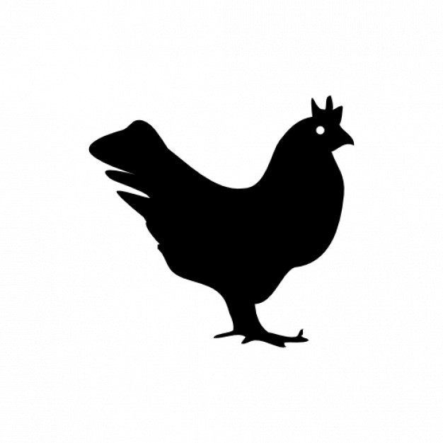 Chicken Icon - Food  Drinks Icons in SVG and PNG - Icon Library