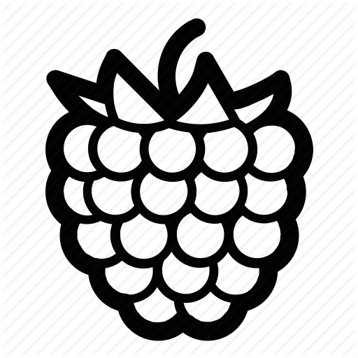 Raspberry icons | Noun Project