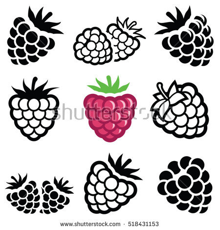 Raspberry Icon | Food Iconset | Martin Berube