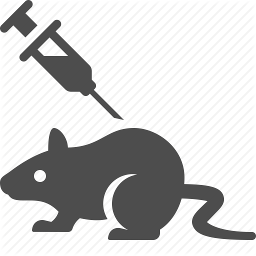 How to get rid of rats | rat control | rat removal Perth