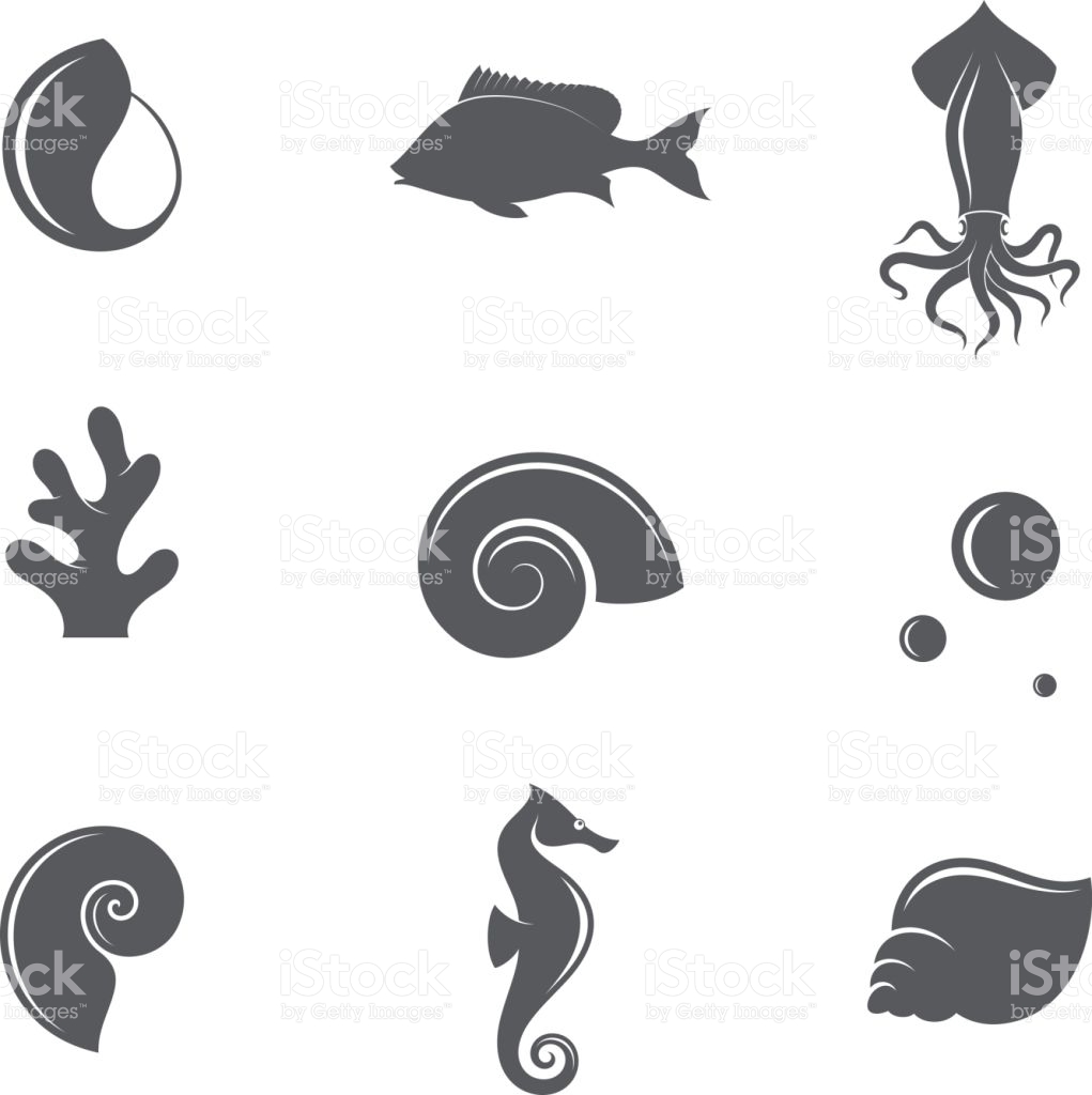 Biodiversity, coral, fish, marine, reef icon | Icon search engine