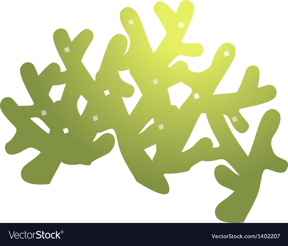 Colony, coral, invertebrate, marine, polyp, reef, staghorn icon 