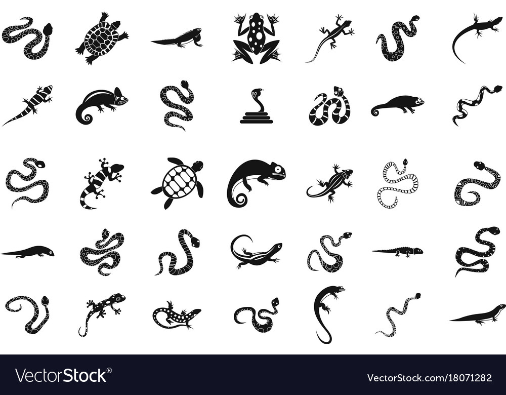 Reptile icons | Noun Project