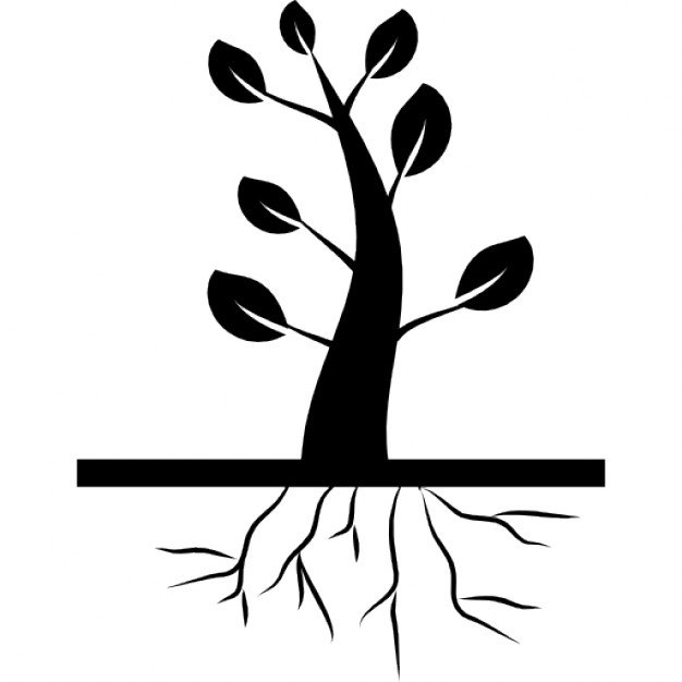 Black and white tree silhouette with roots - VectorStock | Trees 