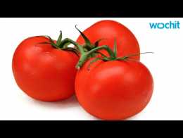 Rotten Tomatoes Review App | Explore the app developers, designers 