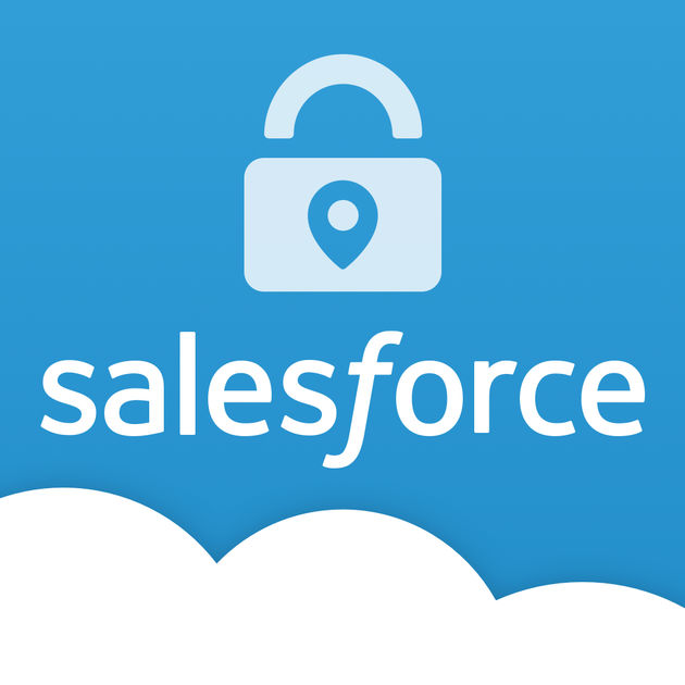 Salesforce, Server, Cloud, Computing, Company, Business Icon 