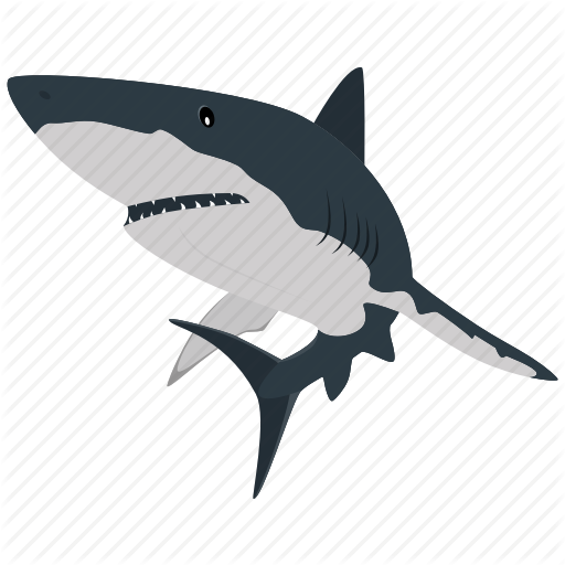 shark # 175586