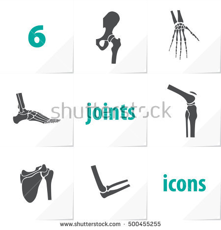 Orthopedics Bone Sports Injury Arm Vector  Photo | Bigstock