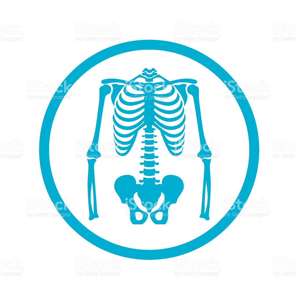 Bone, fluorography, pelvis, radiology, radioscopy, skeleton, xray 