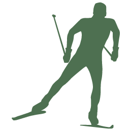 Ice skating, ice skiing, ski, skier, snow ski icon | Icon search 