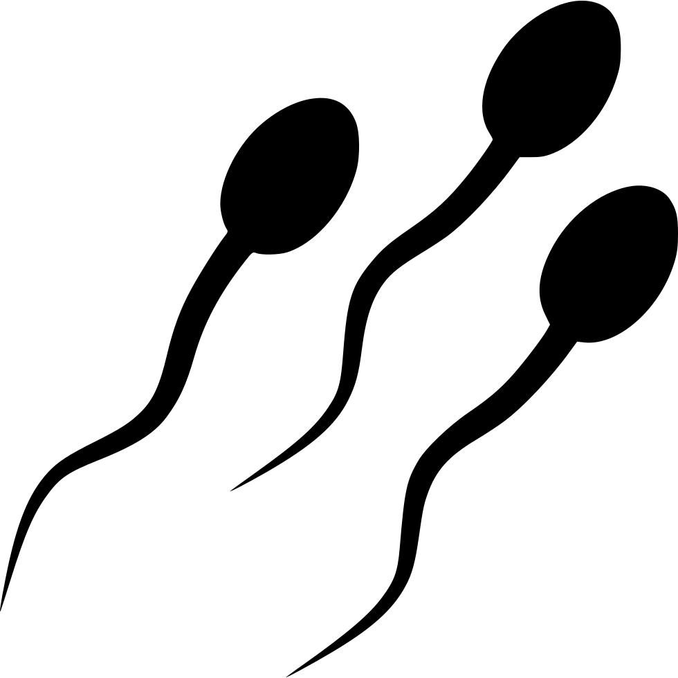 Baby making, ovary, pathogen, sperm, spermatosoid, spermatozoon 