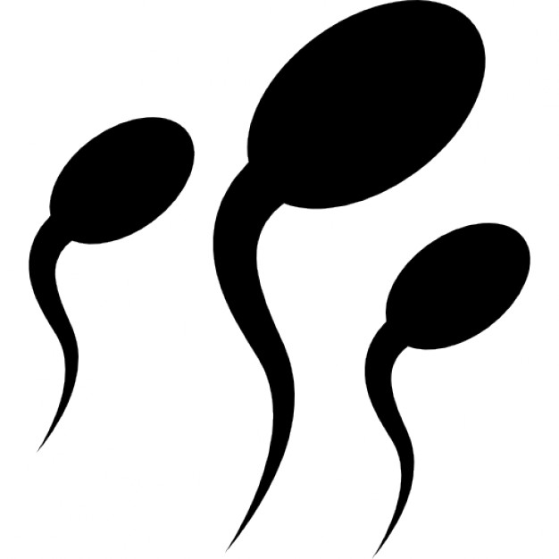 Baby, fertilization, ovum, sperm icon | Icon search engine