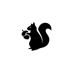 Squirrel Icon Design - saschaelmers
