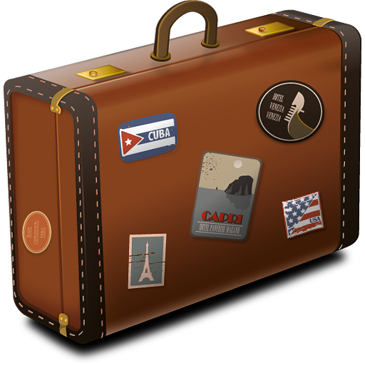 Bag, baggage, book-keeping, business, case, finance, luggage 