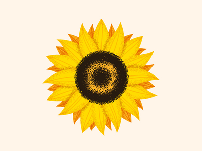 Sunflower icons | Noun Project