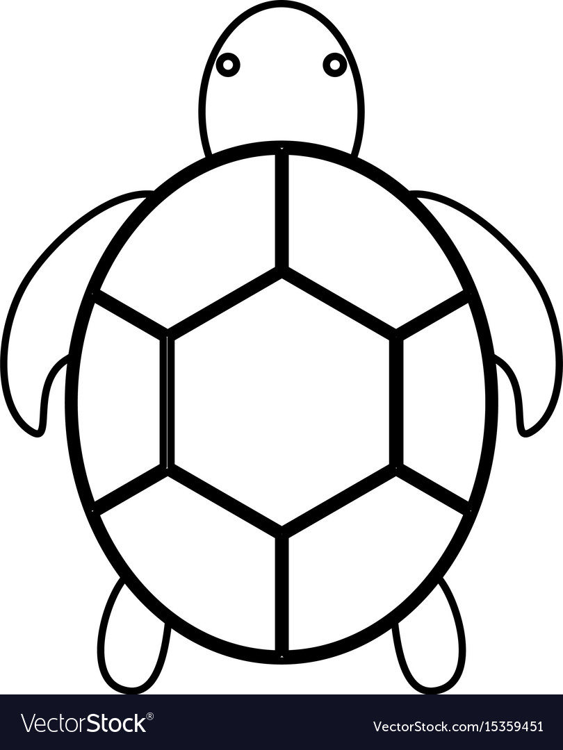 Reptile, sea, seaturtle, testudines, tortoise, turtle icon | Icon 