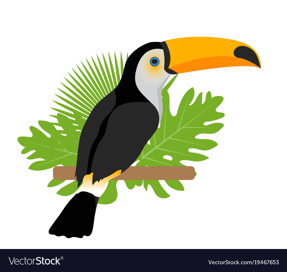 Toucan Icon Illustration Isolated Vector Sign Stock Vector 