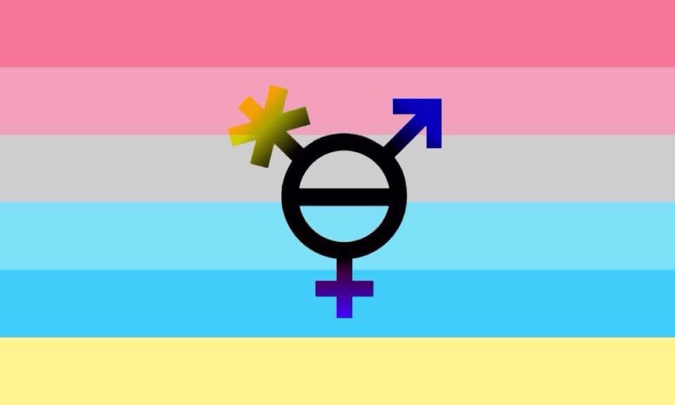 Transgender Flags | Canadian Transgender Flags