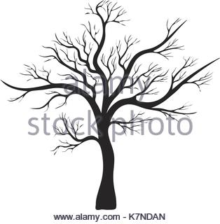 Branch, dead, dry, leaves, plant, sky, tree icon | Icon search engine