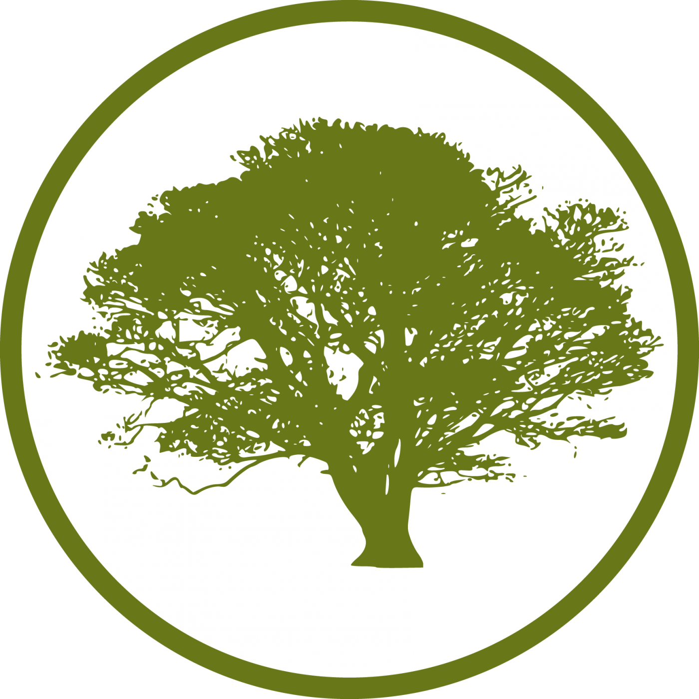 Save Tree PNG Transparent Images | PNG All