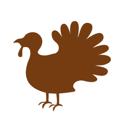 Orlopp Bronze Turkeys | Blue Ridge Farms
