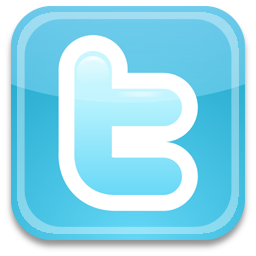 Twitter Graphic Icon | Web Icons PNG