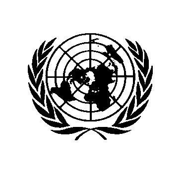 united nations, config, Language icon