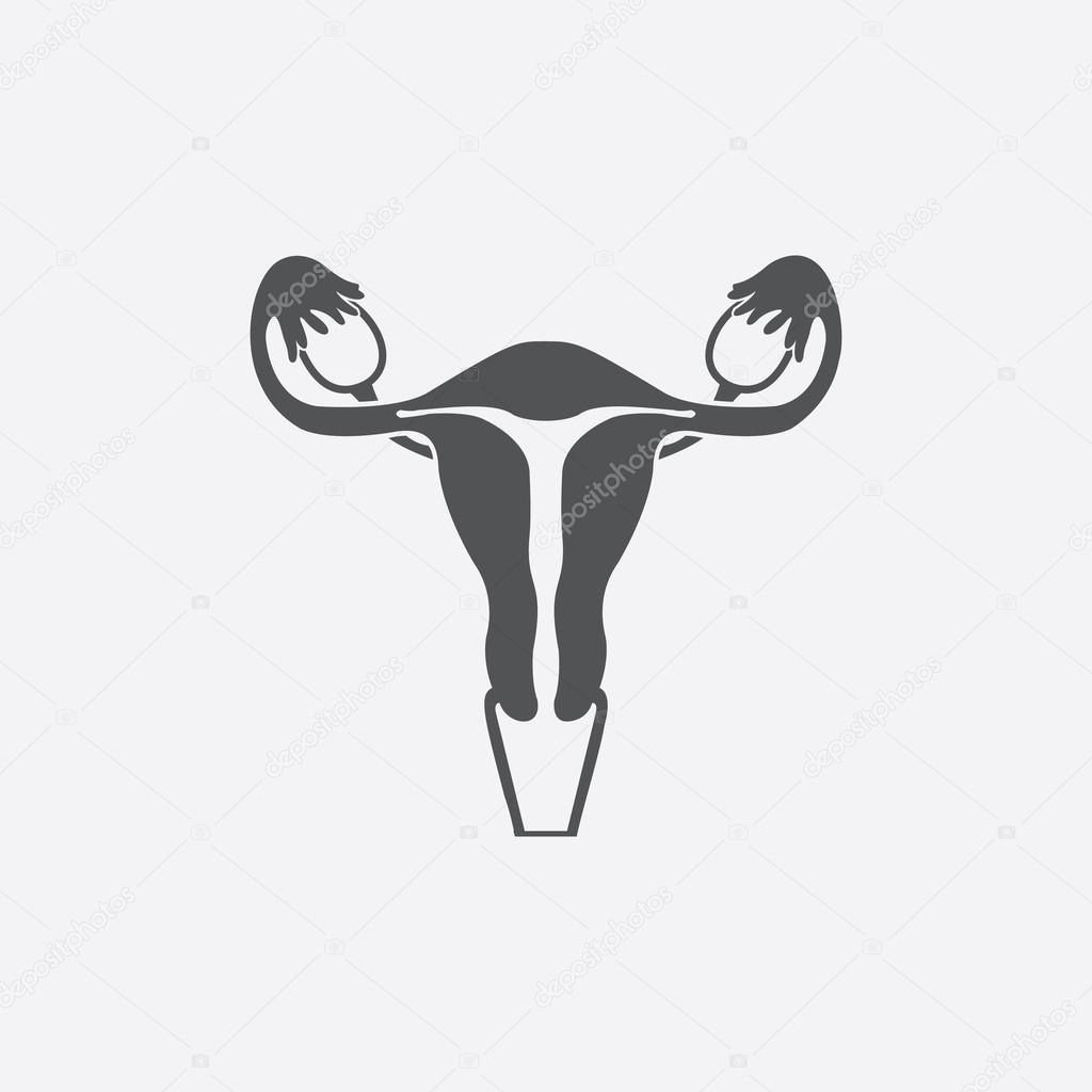 Vagina linear icon. Thin line illustration. Vector isolated 