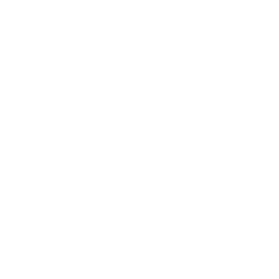 Organic Search Icon - SEO Icons 