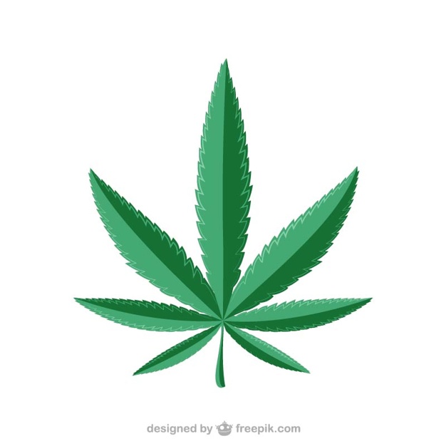 Marijuana leaf icon in cartoon style on a white background | Stock 