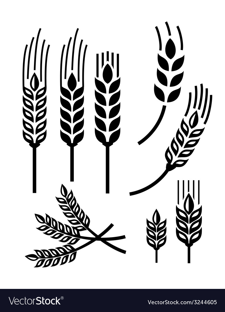 Vector Wheat Ears Icon Set - Download Free Vector Art, Stock 