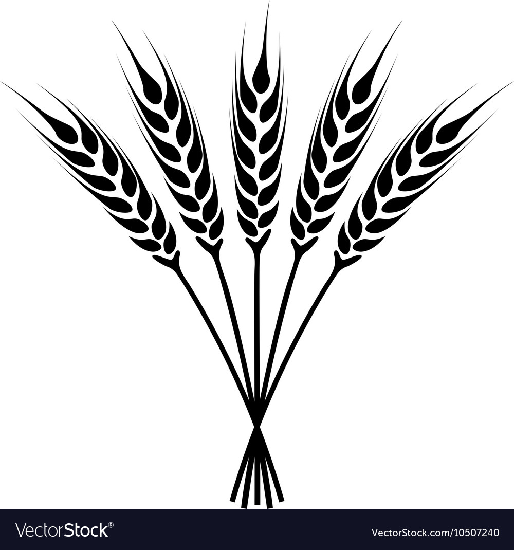 Wheat icon Royalty Free Vector Image - VectorStock