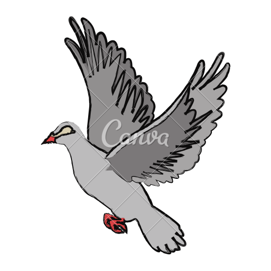 Vector dove. A free flying vector white dove symbol eps vector 