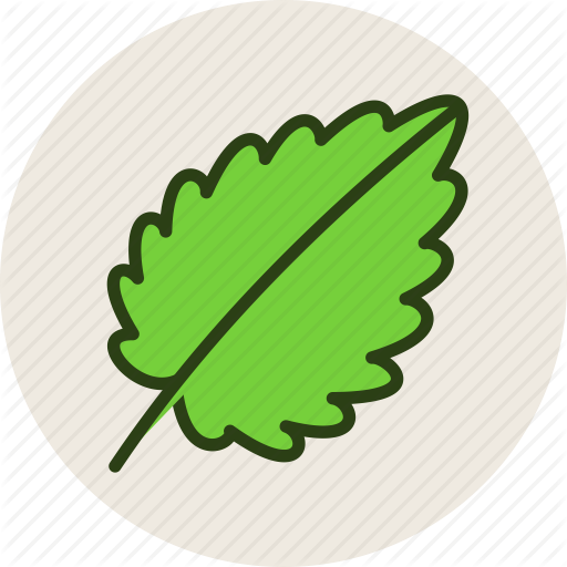 Leaf,Logo,Plant