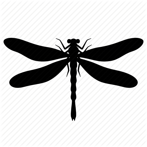 dragonfly # 91632