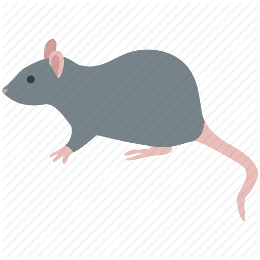 rodent # 93410
