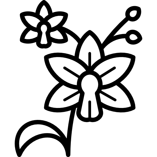 Line art,Coloring book,Clip art,Black-and-white,Plant,Pollinator,Flower,Butterfly