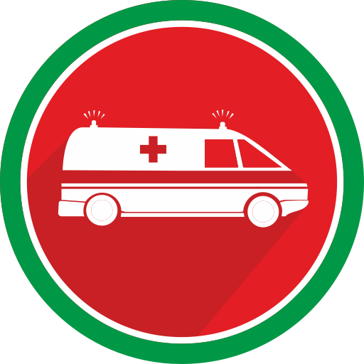 ambulance # 73113