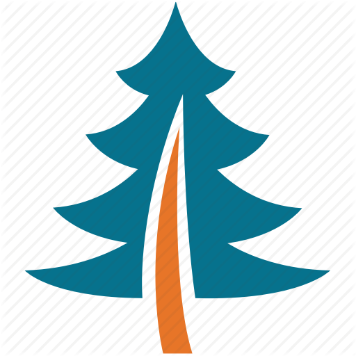 Colorado spruce,oregon pine,Christmas tree,Tree,White pine,Pine,Pine family,Conifer,Christmas decoration,Evergreen,Plant,Interior design,Clip art,Fir