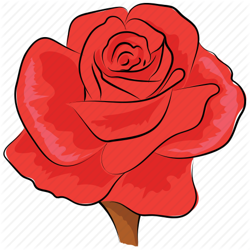 rose # 96184