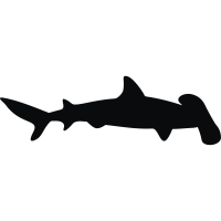 tiger-shark # 188154