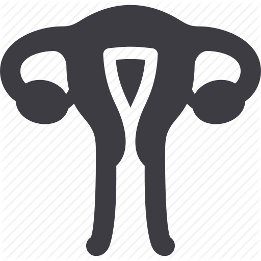 Font,Logo,Illustration