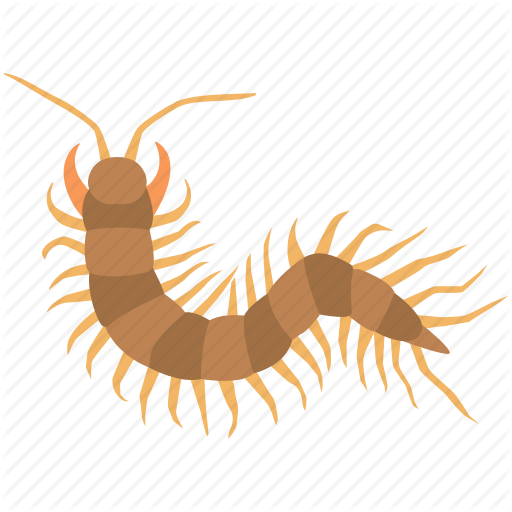 crayfish # 97980
