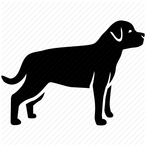 staffordshire-bull-terrier # 98595