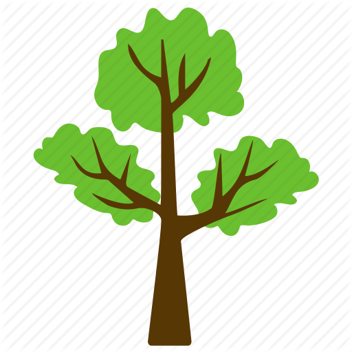 Leaf,Green,Tree,Plant,Plane,Botany,Woody plant,Plant stem,Flower,Californian white oak,Clip art,Oak,Illustration