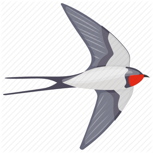 Bird,Arctic Tern,Common tern,Tern,Swallow,European Swallow,Beak,Chimney Swift,Songbird,Perching bird,Illustration,Lari,Wing,Black Skimmer