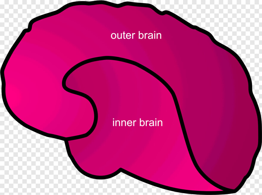 brain-outline # 315502