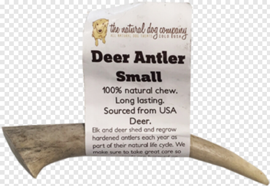 deer-antler # 505456