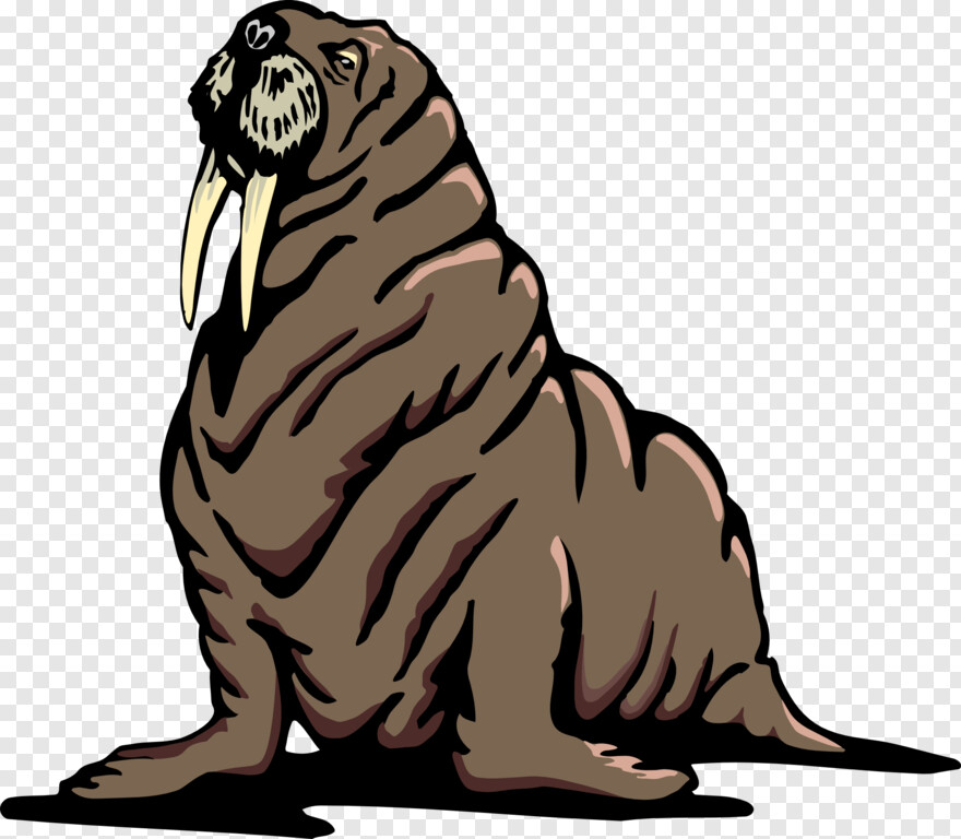 walrus # 592598