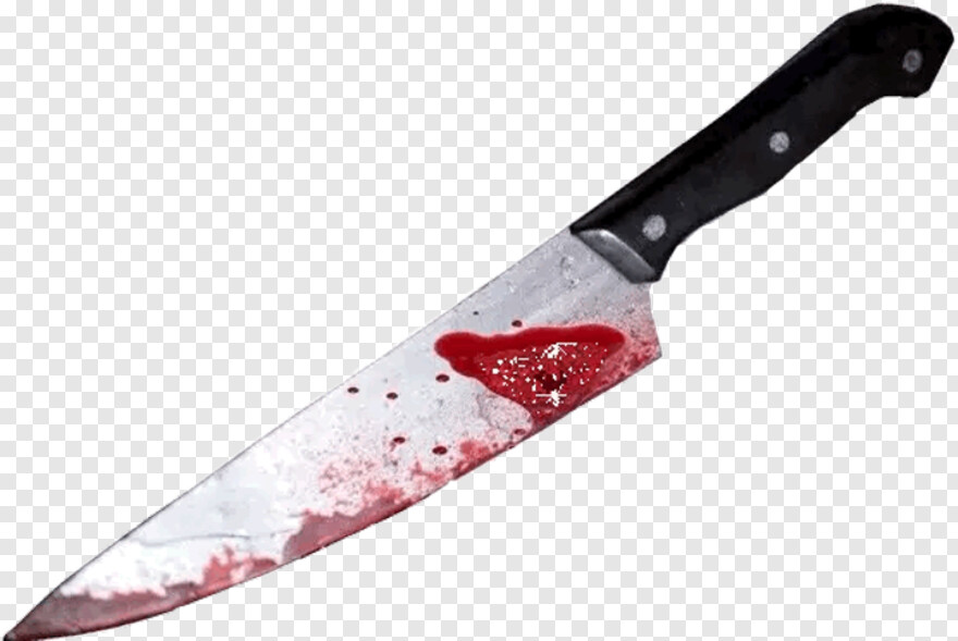 butcher-knife # 344734